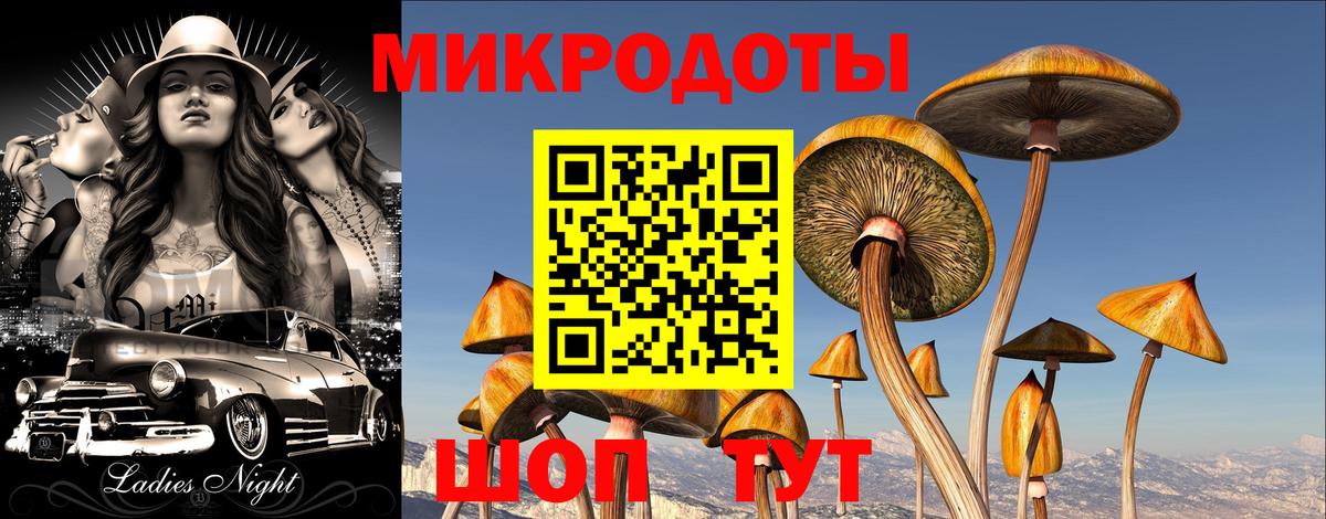 Сертолово  Псилоцибиновые грибы мицелий  Вход с VPN 